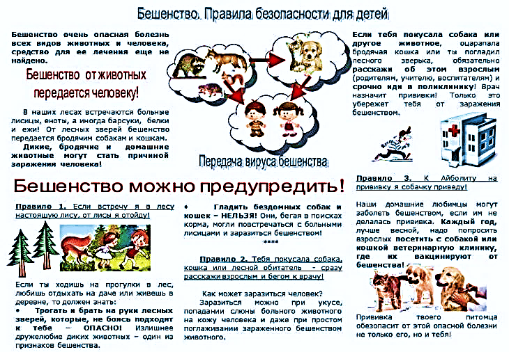 Трагедия Белок